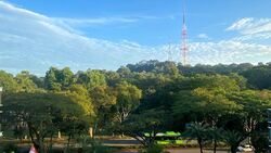Park Natura (D23), Condominium #521259441